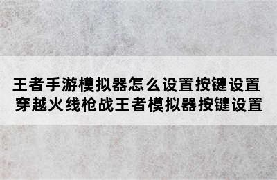 王者手游模拟器怎么设置按键设置 穿越火线枪战王者模拟器按键设置